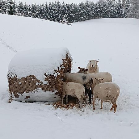 Ubytovani Na Vejminku Rtyne v Podkrkonosi Bagian luar foto