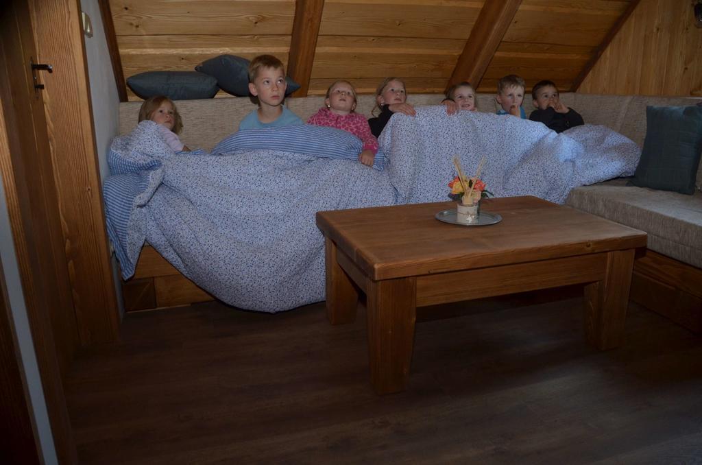Ubytovani Na Vejminku Rtyne v Podkrkonosi Bagian luar foto